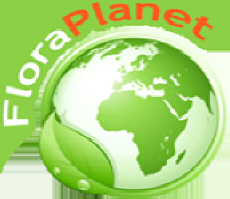 FLORAPLANET serwis internetowy katalog firm ogrodniczych